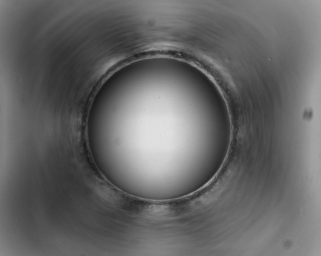 X0000102791313200808181250