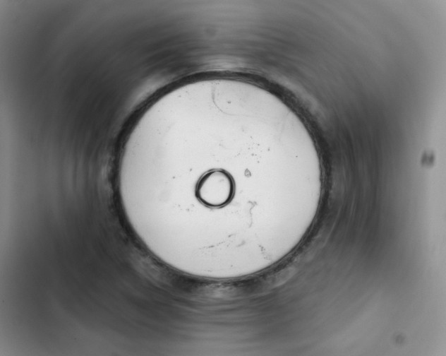 X0000102791314200808181250
