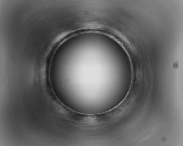 X0000102791315200808181250
