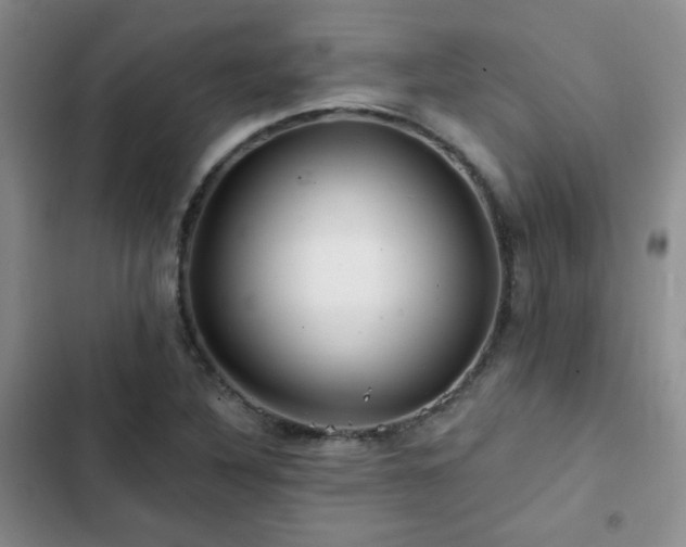 X0000102791316200808181250