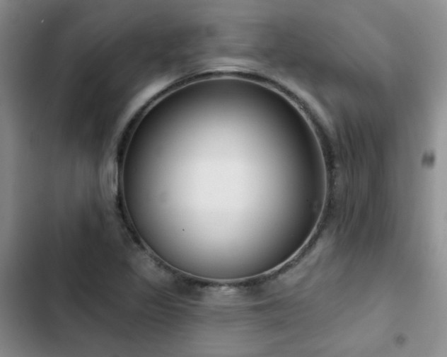 X0000102791317200808181250