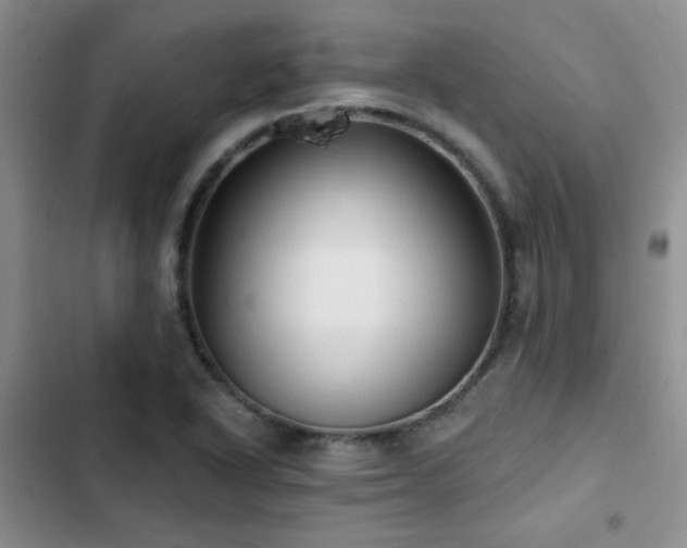 X0000102791318200808181250
