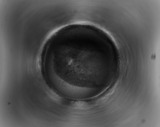 X0000102791319200808181250
