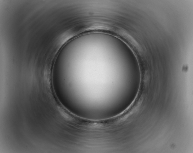 X0000102791321200808181250