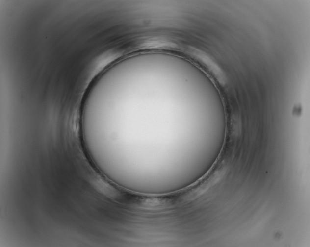 X0000102791322200808181250