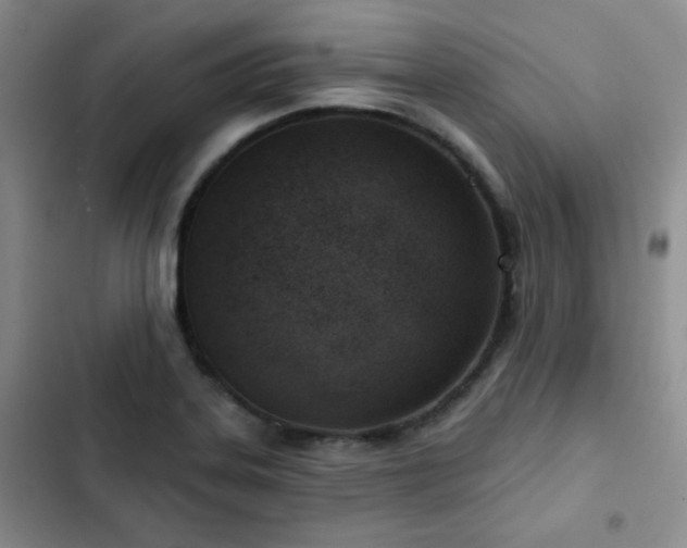 X0000102791323200808181250
