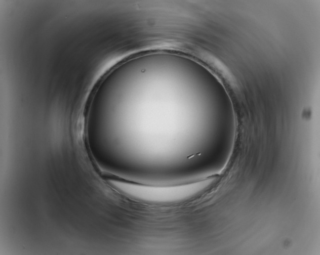 X0000102791324200808181250