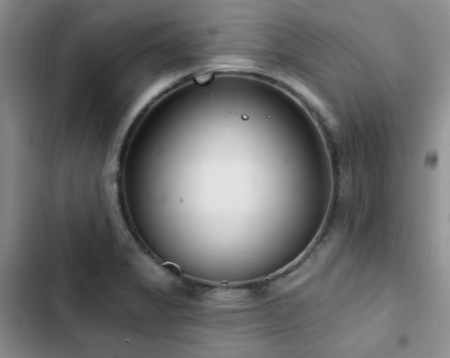 X0000102791325200808181250
