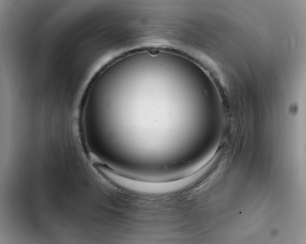 X0000102791326200808181250