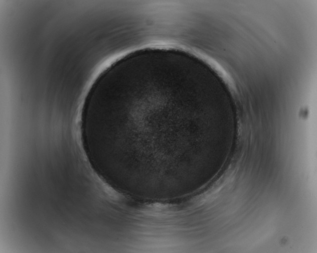 X0000102791327200808181250