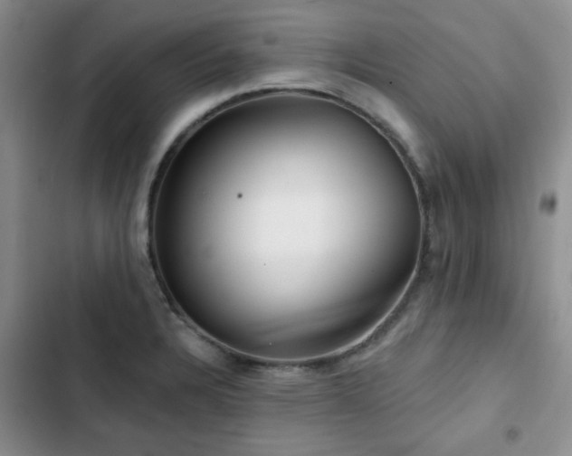 X0000102791328200808181250