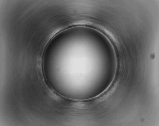 X0000102791329200808181250