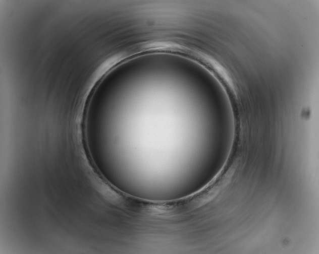 X0000102791330200808181250