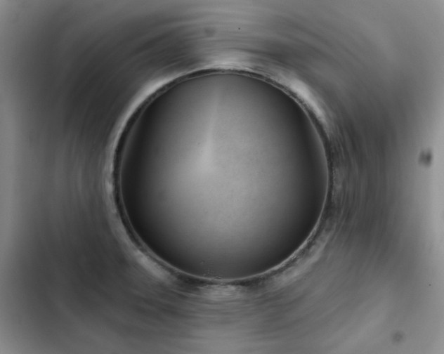 X0000102791331200808181250