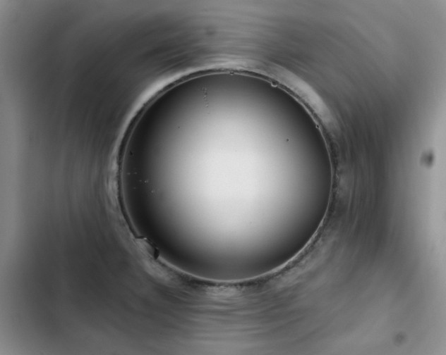 X0000102791332200808181250