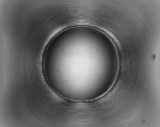 X0000102791333200808181250