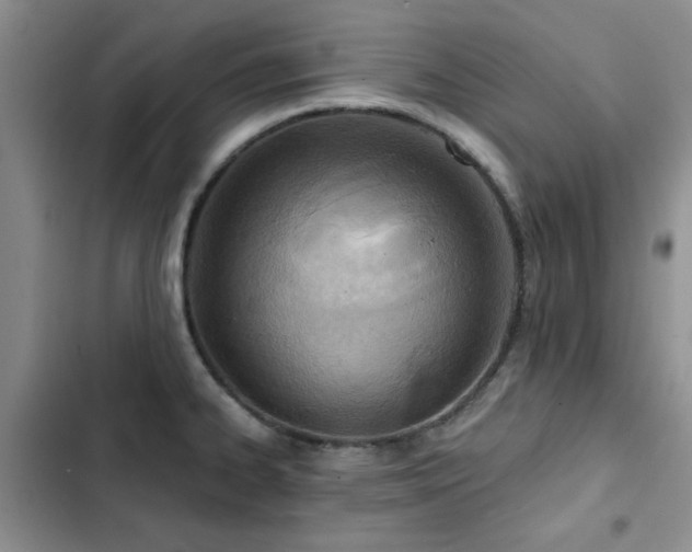 X0000102791334200808181250
