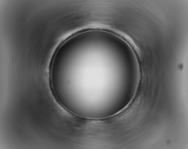 X0000102791335200808181250
