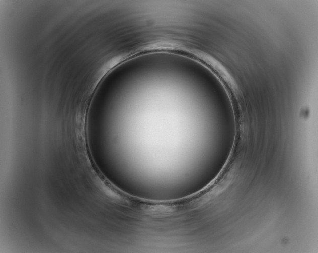X0000102791337200808181250