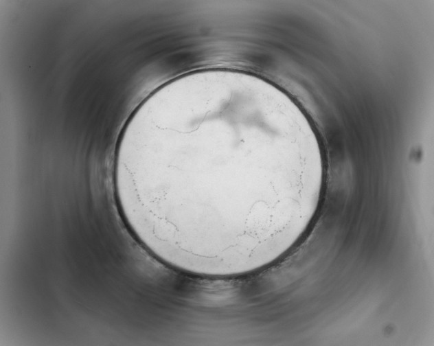 X0000102791338200808181250