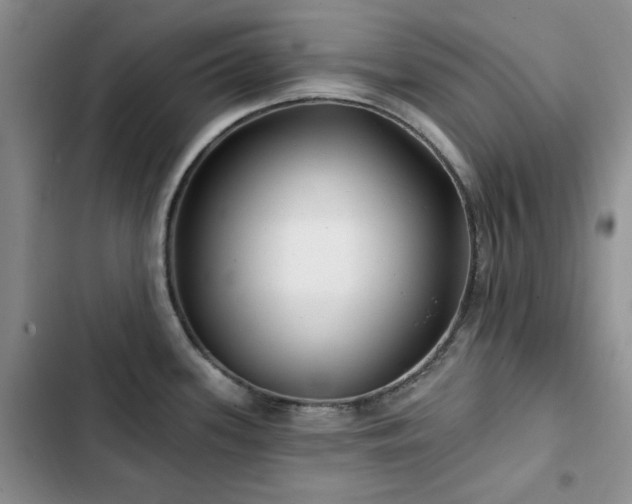 X0000102791339200808181250