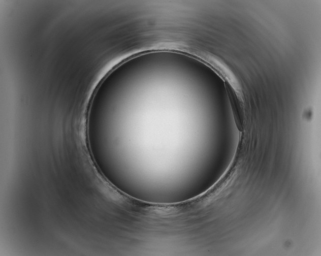 X0000102791340200808181250