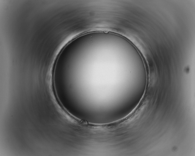 X0000102791341200808181250