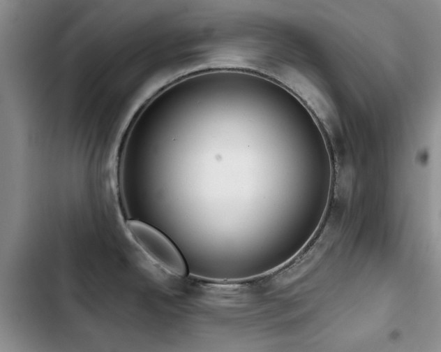 X0000102791342200808181250
