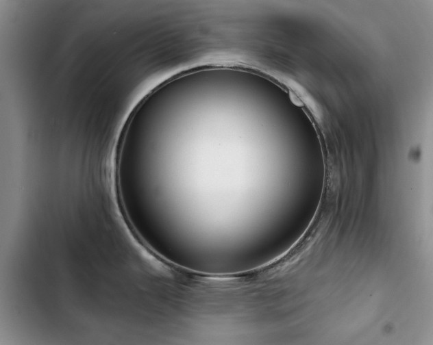 X0000102791343200808181250