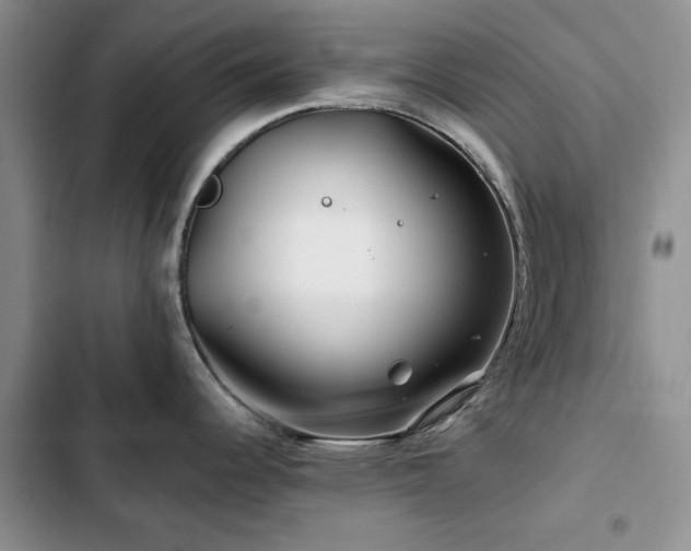 X0000102791344200808181250