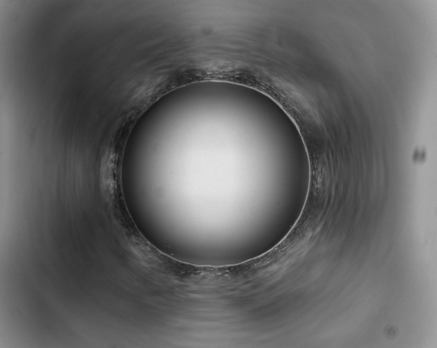 X0000102791346200808181249