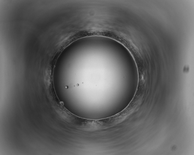 X0000102791348200808181249