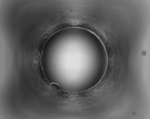 X0000102791349200808181249