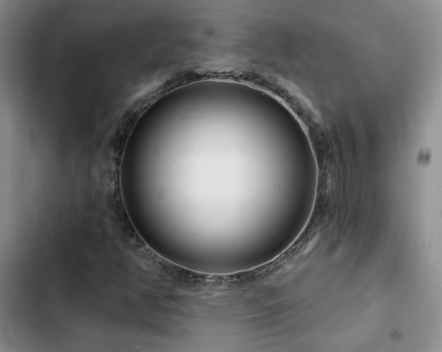 X0000102791350200808181249