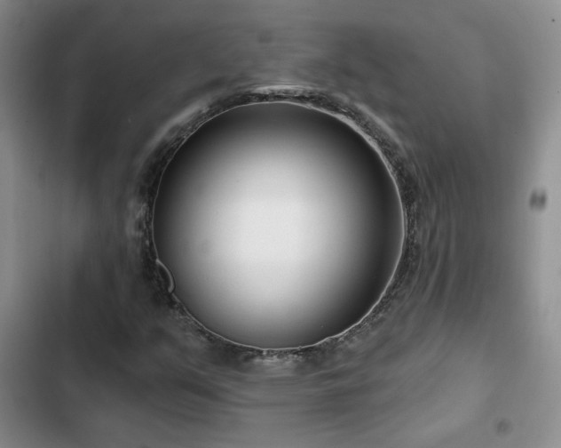 X0000102791351200808181249