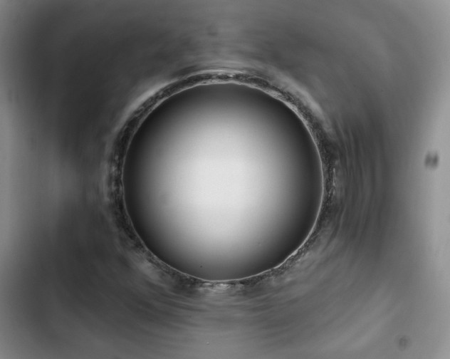 X0000102791352200808181249