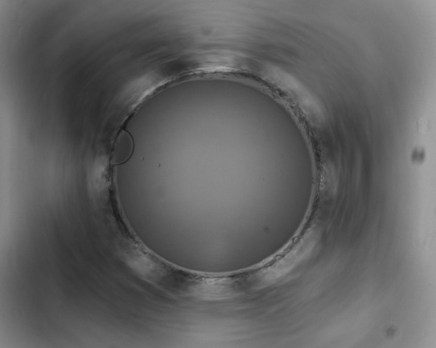 X0000102791353200808181249