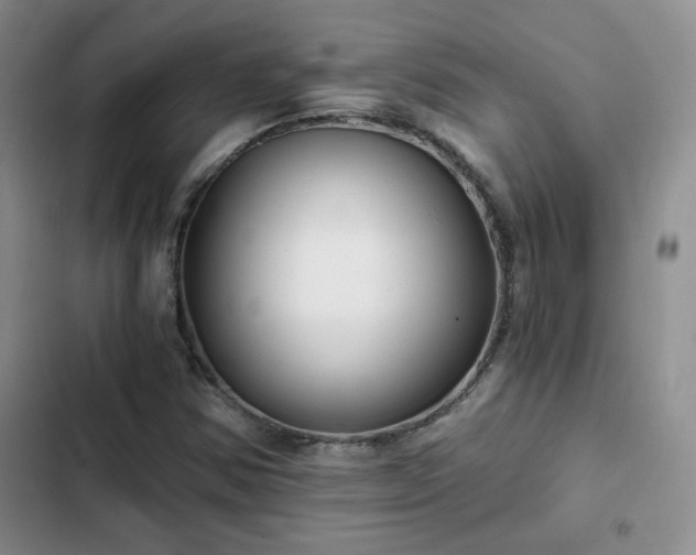 X0000102791354200808181249