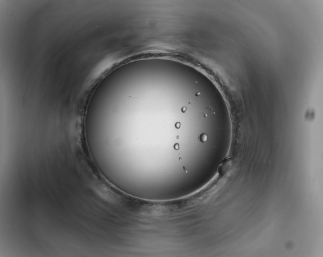 X0000102791355200808181249