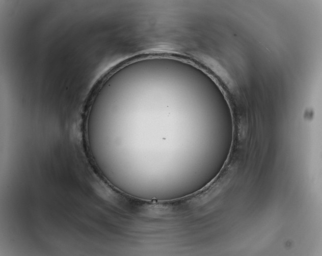 X0000102791356200808181249