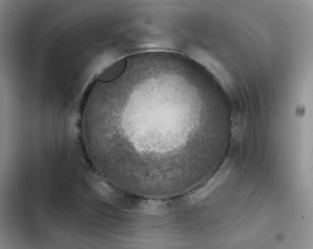 X0000102791357200808181249