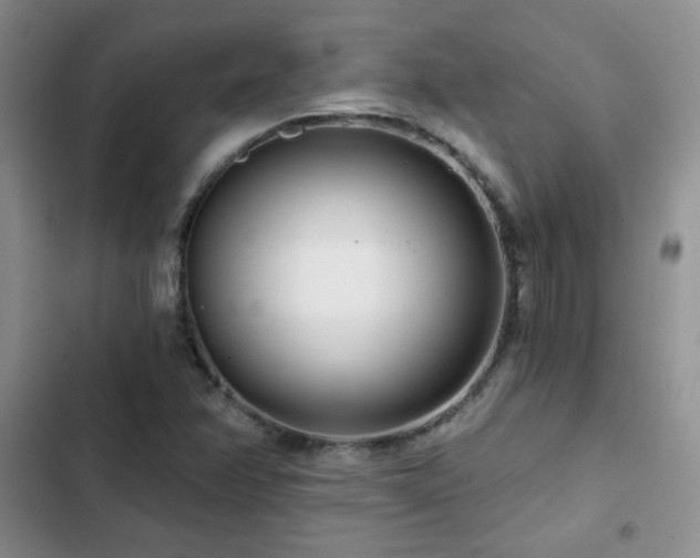 X0000102791358200808181249