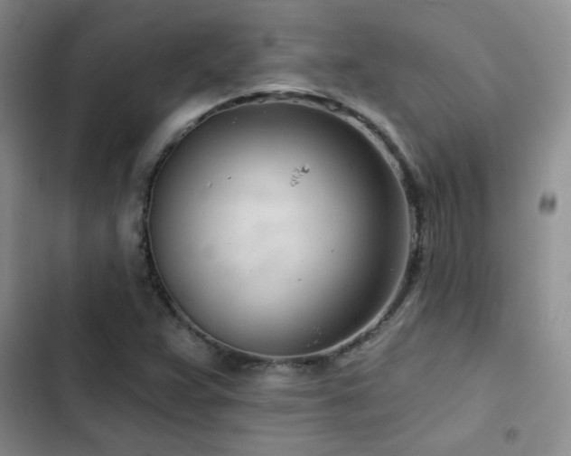X0000102791359200808181249