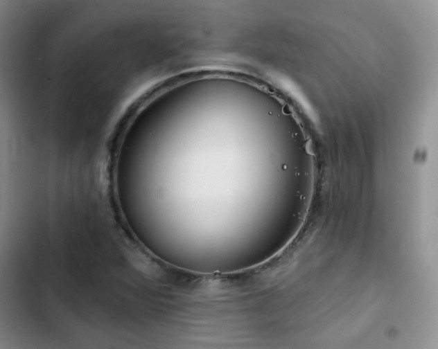X0000102791360200808181249