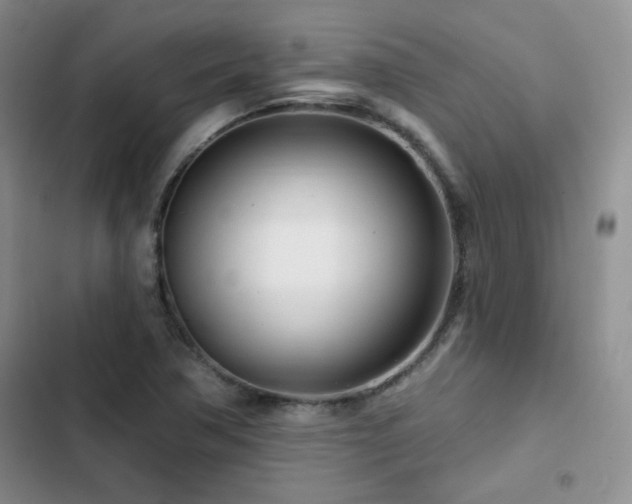 X0000102791362200808181249