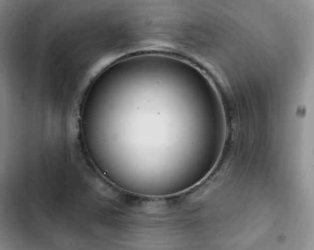 X0000102791363200808181249