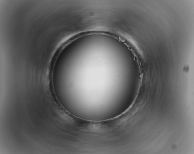 X0000102791364200808181249