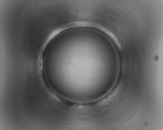 X0000102791365200808181249