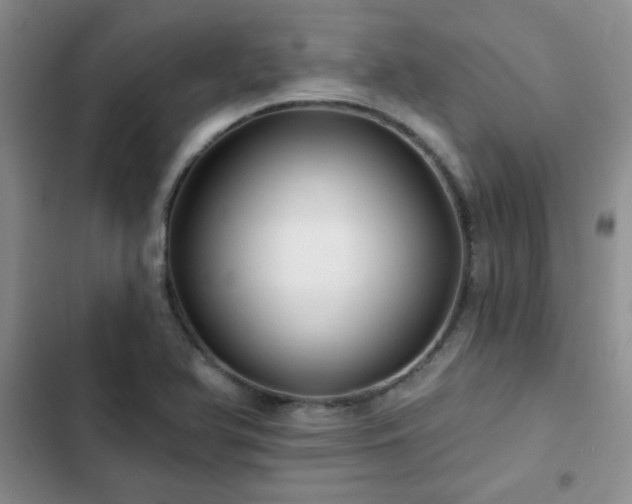 X0000102791366200808181249