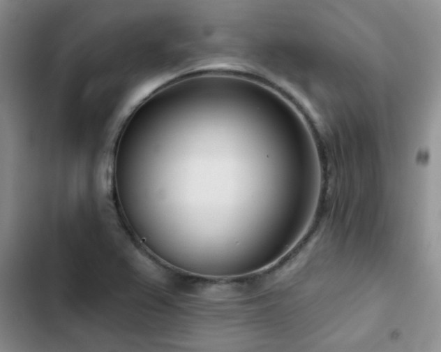 X0000102791367200808181249